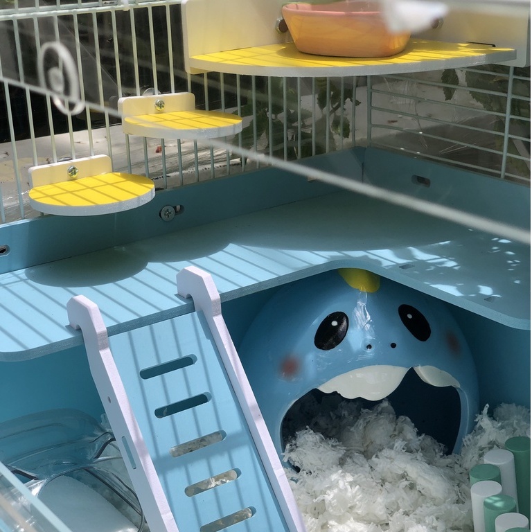 Trang trí chuồng hamster, KỆ GỐC TAM GIÁC đa năng, chuồng cho sóc, bọ, nhím, thú cưng nhỏ