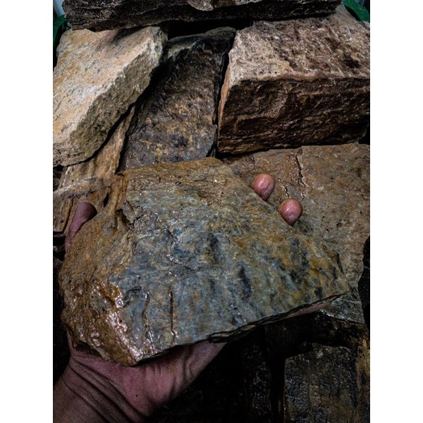 Đá Trầm Tích Vàng Vân Gỗ | Trang Trí Setup Bể Thủy Sinh, Biotope, ....| Mua Nhiều Giảm Giá