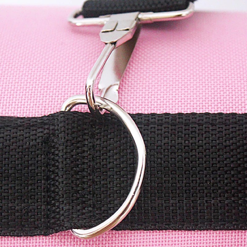 [Kèm Ảnh Thật] Túi Xách Cao Cấp Cho Chó Mèo