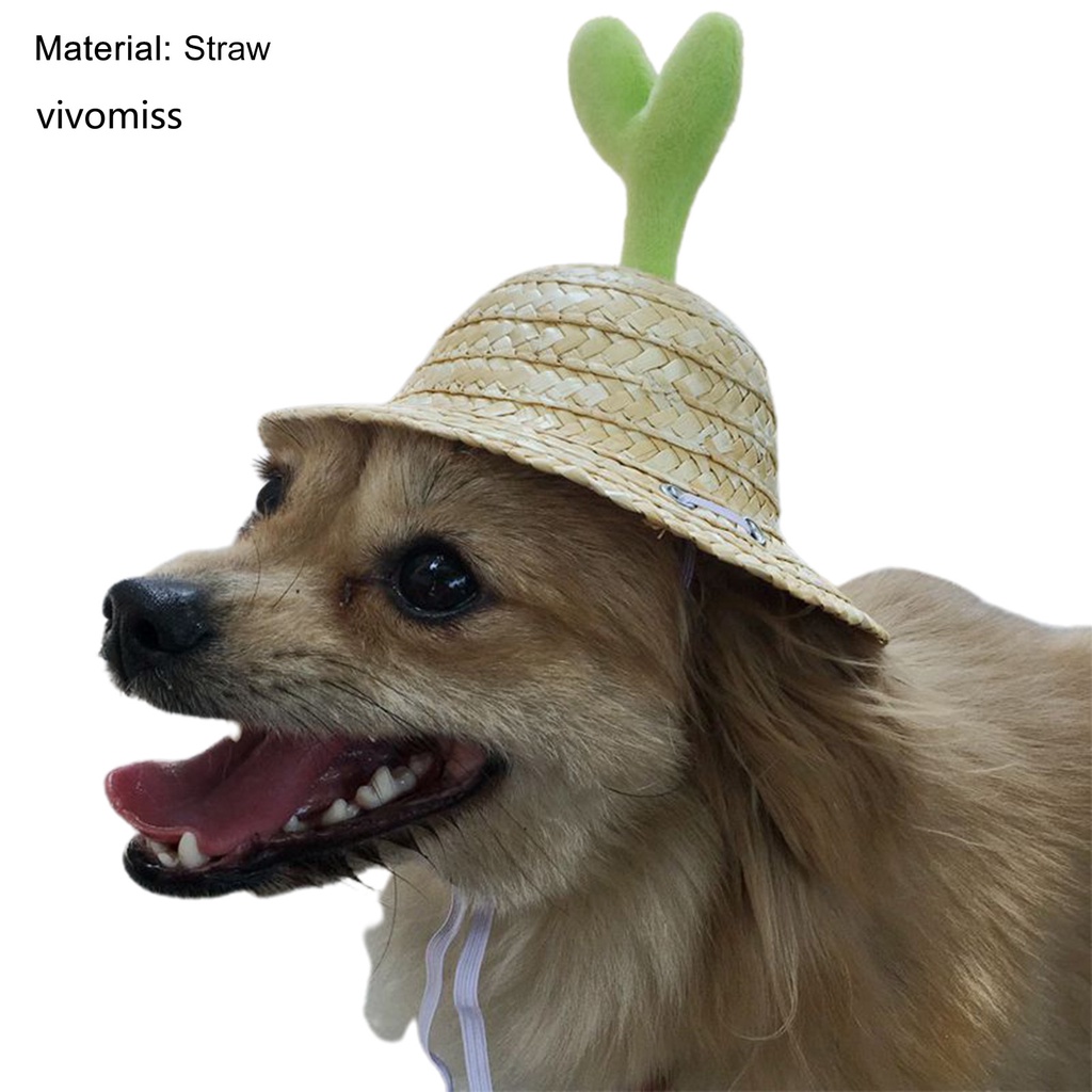 Nón Rơm Đan Kèm Dây Đeo Có Thể Điều Chỉnh Dành Cho Cún Cưng
