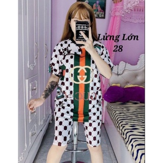 Set lửng thun lạnh 3D chất 4 chiều quần có túi