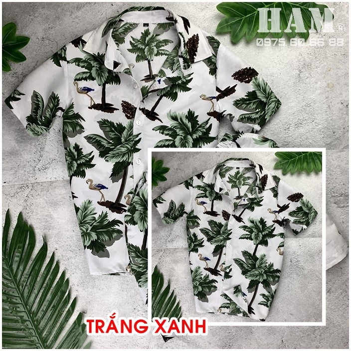 {ẢNH THẬT} Bộ Đồ Đi Biển Cho Cặp Đôi, Đội Nhóm, Công Ty, Gia Đình, Bộ Đi Biển Đẹp Năm 2021 | BigBuy360 - bigbuy360.vn