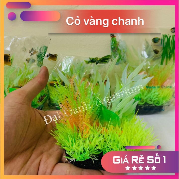 Cây Nhựa Thủy Sinh Trang trí Hồ Cá - Bể Cá Cảnh-Cây Cảnh Thủy Sinh Giả Trang Trí Bể Cá Sống Động