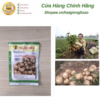 Hạt Giống Củ Sắn ( Củ Đậu ) 50 gr - Thuận Điền