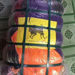 Áo thun mỹ 2hand Loại 2 (KHÔNG LỰA MẪU)