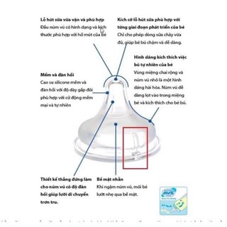 NÚM TI PIGEON NỘI ĐỊA NHẬT