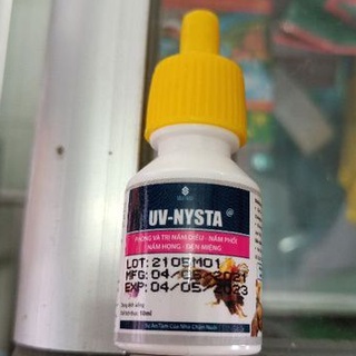 UV-NYSTA chai 10ml cho gà đá (giá rẻ)