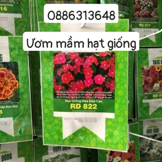 Hoa dừa cạn hồng RD 822 (0.03g)
