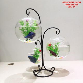 Bể cá mini tam trụ 27 ( Tặng kèm phụ kiện trang trí )