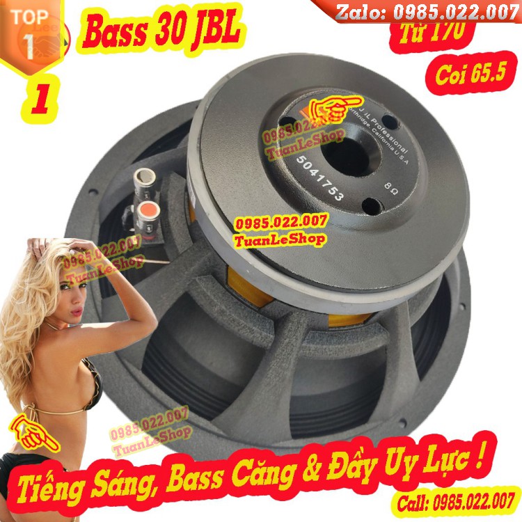 LOA BASS 30 J B L TỪ 170 COI 65.5mm – GIÁ 1 CỦ LOA BASS 3 TẤC