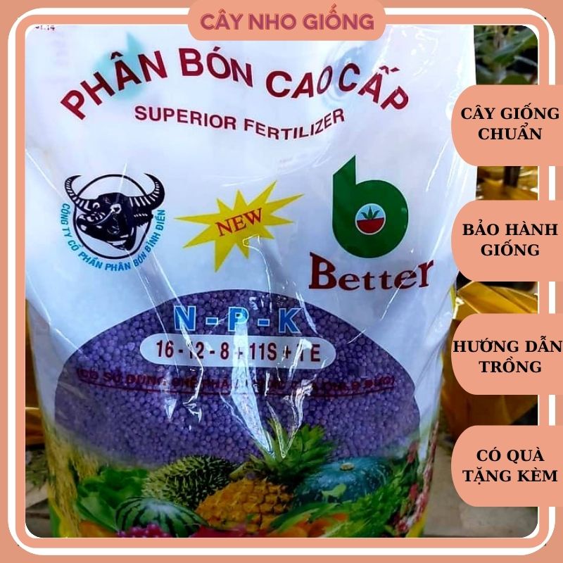 Phân Bón NPK Tím Đầu Trâu 16-12-8+11s+TE 1 bịch 5kg
