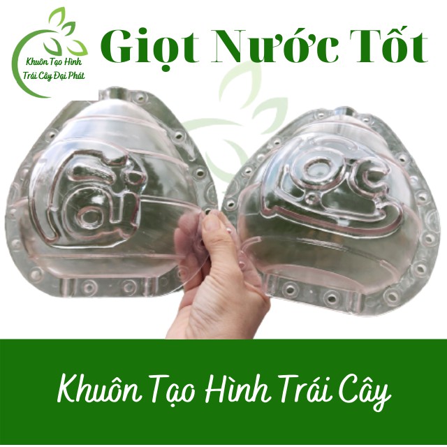 (Chữ Tài Lộc)(Bưởi 1-1,4kg) Khuôn Giọt Nước Cứng dày dặn, hàng loại đẹp - Khuôn Tạo Hình Trái Cây Dùng Nhiều Vụ