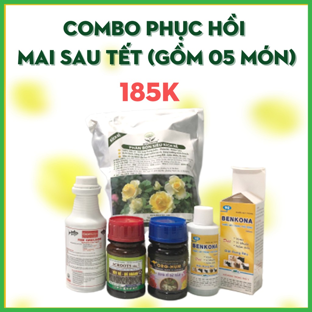 Combo Phân Bón Chăm Sóc - Phục Hồi Mai Sau Tết