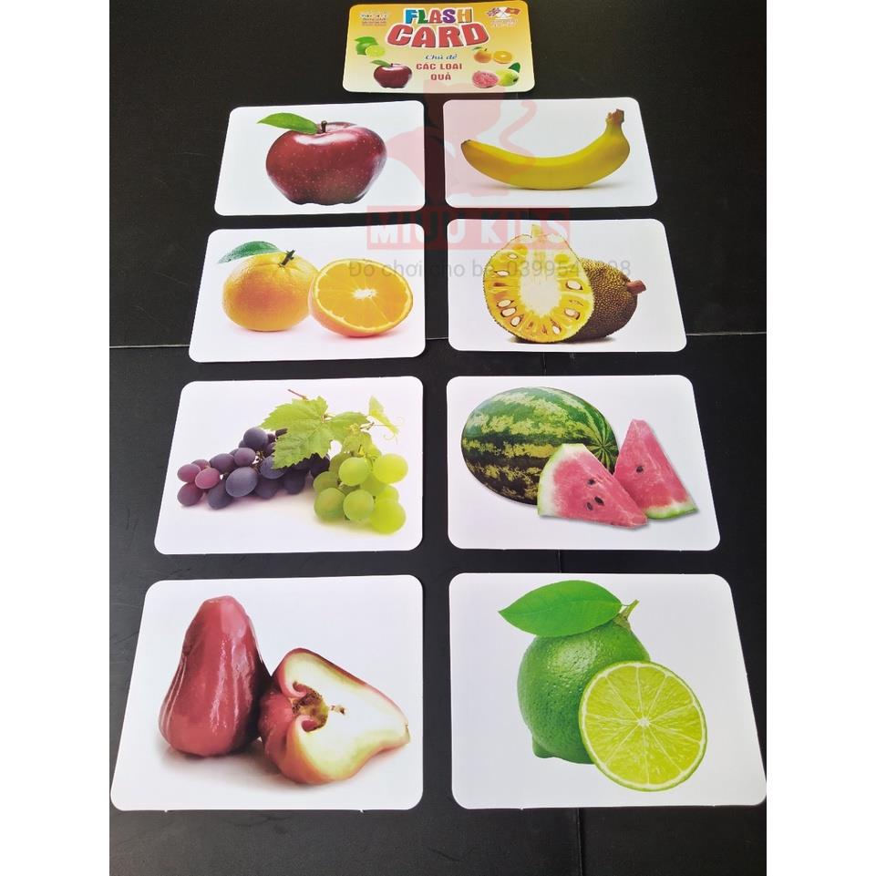 Thẻ HọcThông MinhSong Ngữ Loại To_Flashcard Anh Việt _Chủ Đề Côn Trùng