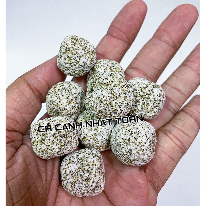 SỨ LỌC VIÊN SỨ TRẮNG BI MÈ VẬT LIỆU LỌC CHO BỂ CÁ CẢNH