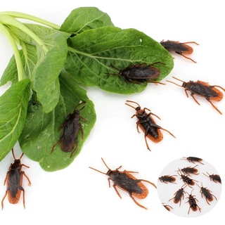 Đồ chơi hình con gián giả vui nhộn.