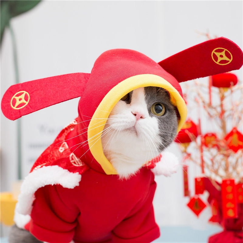 (MớI) Áo Thun MùA Đông Cho Thú Cưng - 2023