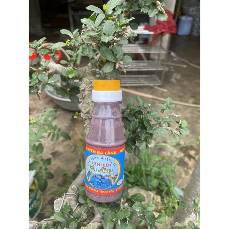 Mắm tôm Ba làng Lốc 10 Chai 100gram