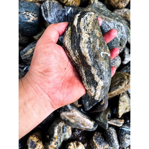 Đá Cuội Vân Mây Loại Cứng (1kg) Setup Bể Thuỷ Sinh,Tiểu Cảnh Bán Cạn, Trang Trí Bể Cá Cảnh