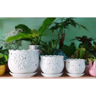 Chậu Sứ Trồng Cây [KÈM DĨA LÓT] Trồng Sen Đá, Xương Rồng, Cây Cảnh Mini, cây để bàn, cây nội thất  bộ 3