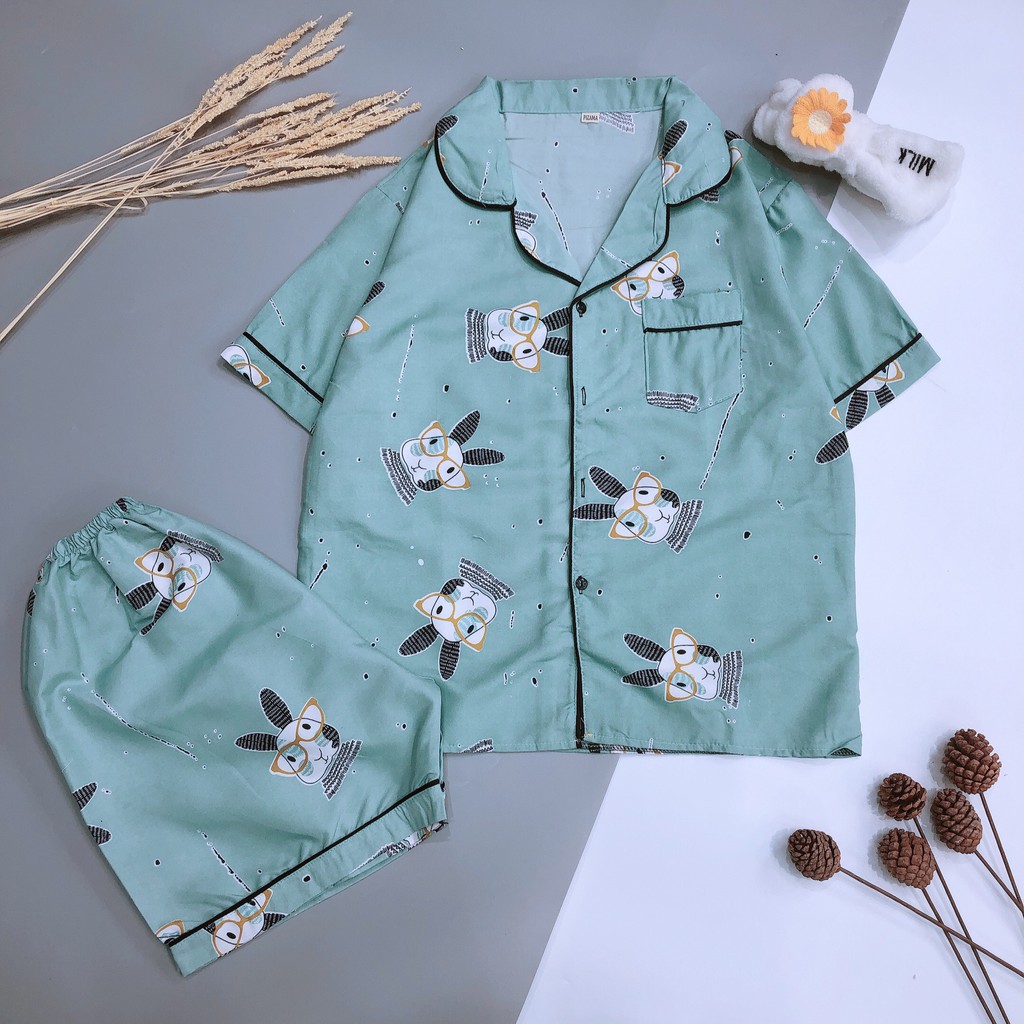 Bộ ngủ pigiama siêu cute | BigBuy360 - bigbuy360.vn