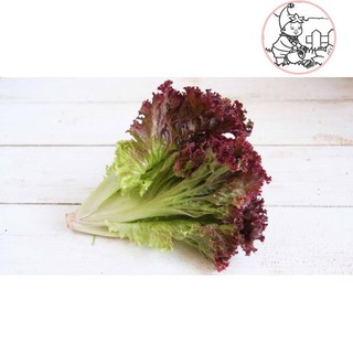 HẠT XÀ LÁCH TÍM  - GÓI 2 GRAM