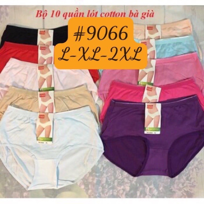10 Quần lót (9066) cotton lưng cao.