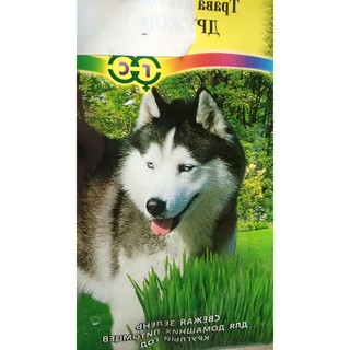  Hạt giống cỏ lúa mì cho chó gói 100gram