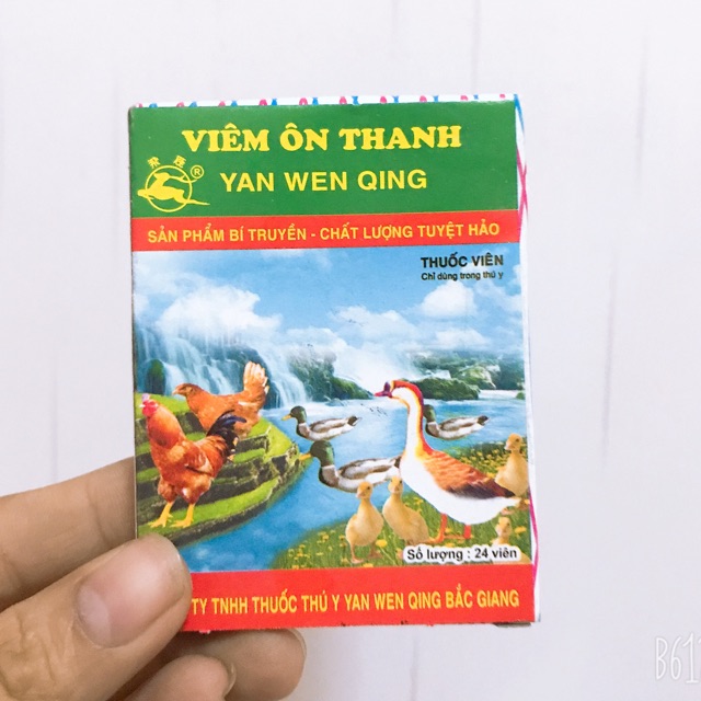 VIÊM ÔN THANH (VỈ 24 VIÊN) - PHÒNG TRỪ CÁC BỆNH CHO GÀ