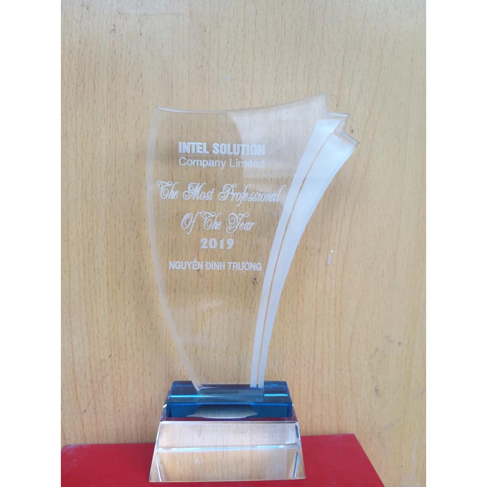 Kỉ niệm chương đoàn đội và cup điêu khắc LOGO CÔNG TY theo yêu cầu