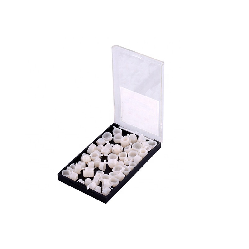 Hàm răng giả bằng nhựa Resin chuyên dụng cho nha khoa