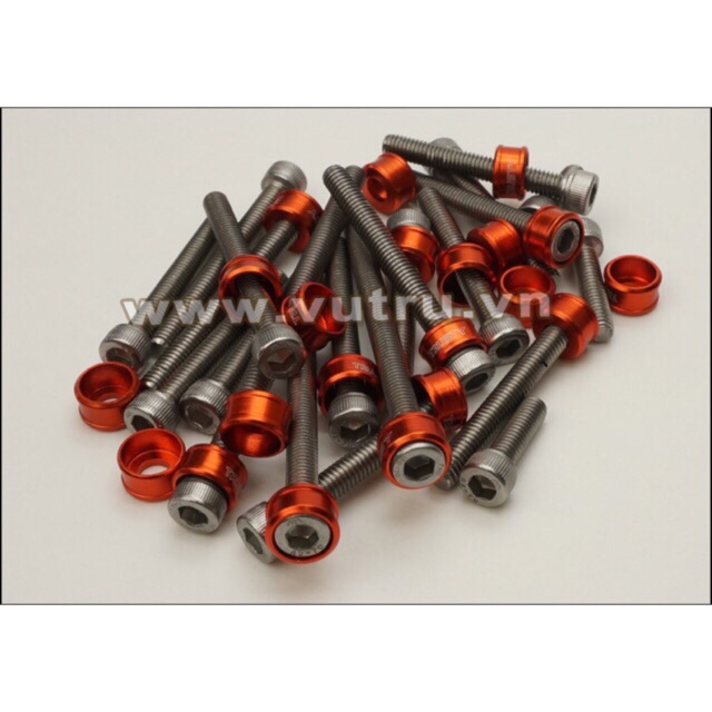 Bộ ốc máy lông đền màu ( các loại xe )