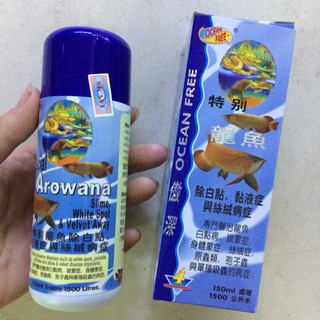 🐠 CÁ RỒNG CHAI SỐ 4 OCEAN FREE