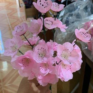 Cành anh đào mini