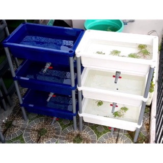 1 cái Khay Nhựa Cải Tiến nuôi cá có lỗ out KT 64x42x16cm