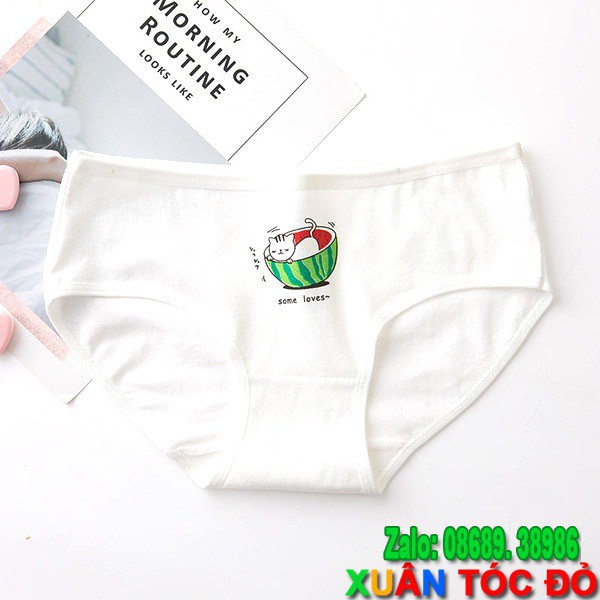 SỈ ZALO RẺ HƠN NHIỀU_ Quần Lót Mèo Tắm Trong Bồn Dưa Hấu Mới 5055 | BigBuy360 - bigbuy360.vn