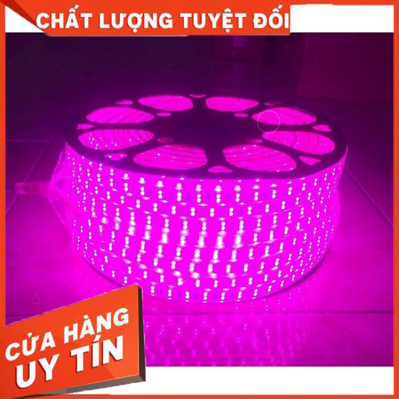 1 cuộn dài 90m dây led 2835 2 hàng led 220v