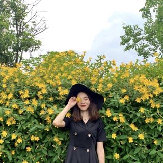 Váy cổ Vest 6 cúc dọc thanh lịch (Order-ảnh thật) bigsize