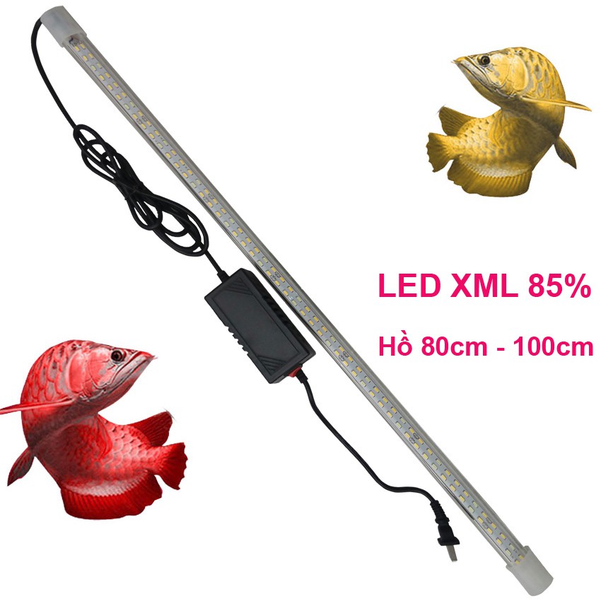 Đèn LED XML 85% cho hồ bể cá rồng 80cm - 1m, dài 80cm, 2 hàng, ánh sáng vàng