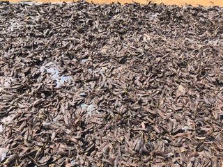 Quả bồ kết khô