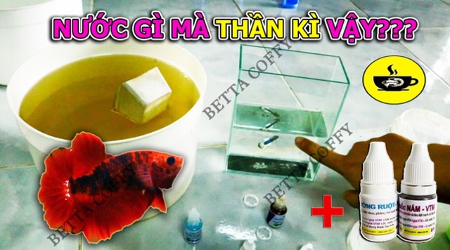 Vợt Nano - lọc Artemia và nuôi Artemia sinh khối