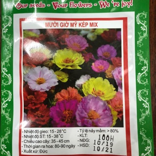 Hạt giống hoa mười giờ Mix 💐