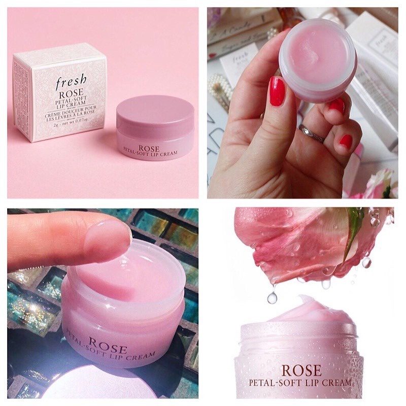 (Mini unbox) Dưỡng môi Fresh Rose Petal-Soft Lip Cream 2g