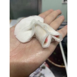 HÁ CẢO CÁ VÀNG. 200G 10C. (giao hỏa tốc)