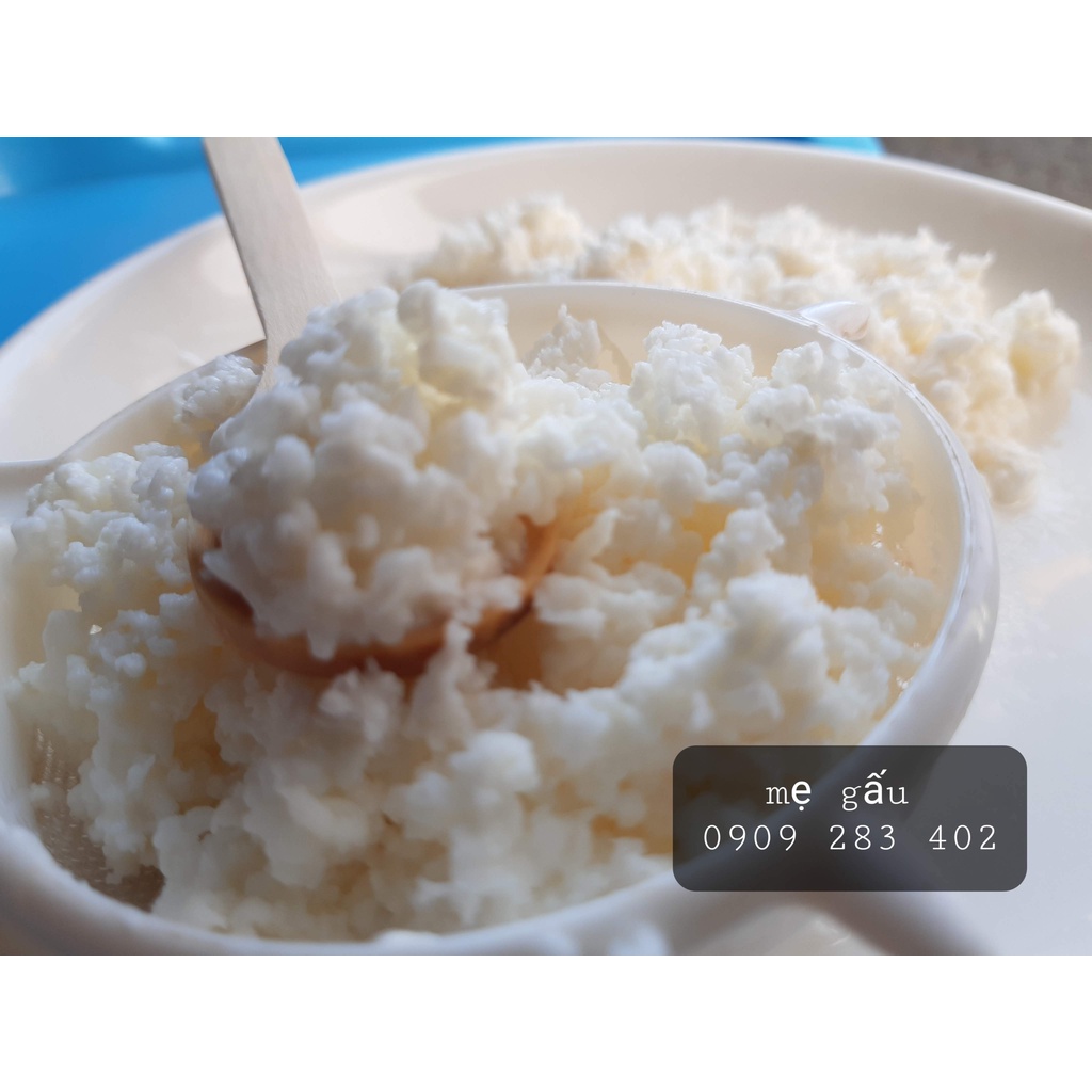 Nấm làm sữa chua( nấm sữa kefir)