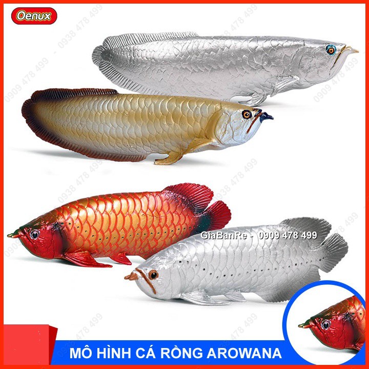 Mô Hình Cá Rồng Arowana – Kim Long, Ngân Long, Huyết Long - Dài 16-18cm 7667