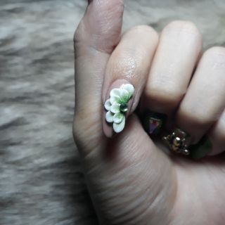 hoa bột mã 02- trang trí móng nail