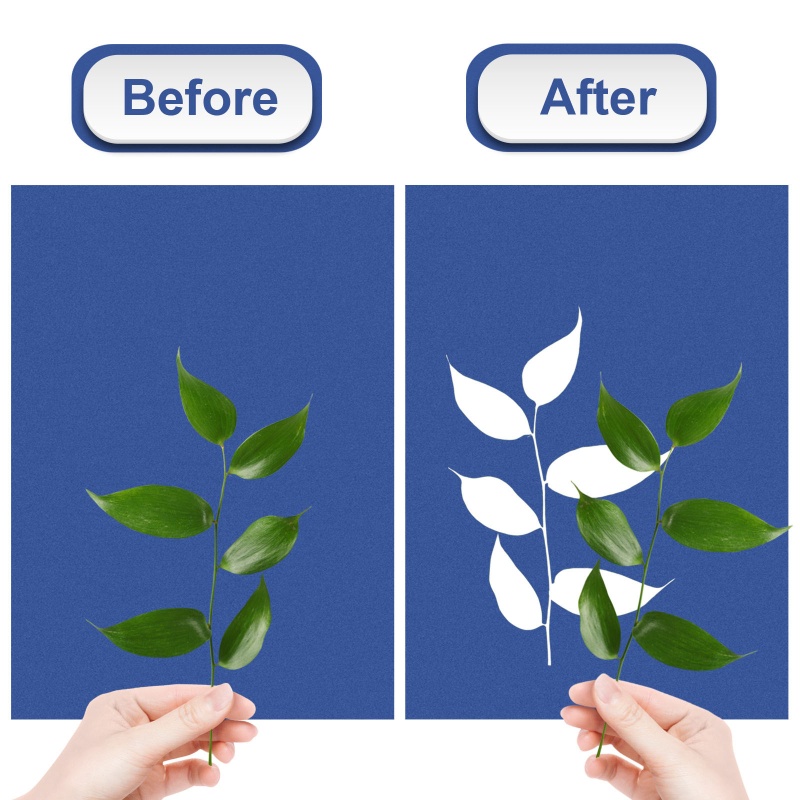 Sa Giấy In Tự Nhiên Kèm Đệm Dùng Làm Đồ Thủ Công Diy