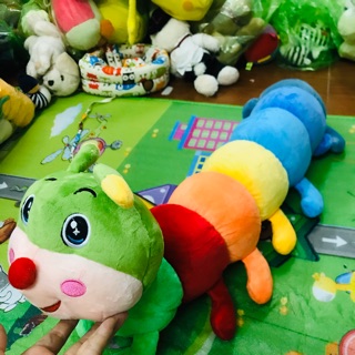 Sâu gối ôm 7 màu