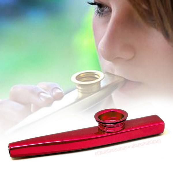 Kèn harmonica Kazoo có clip thổi thực tế